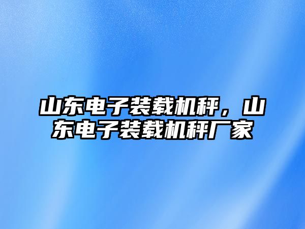 山東電子裝載機秤，山東電子裝載機秤廠家