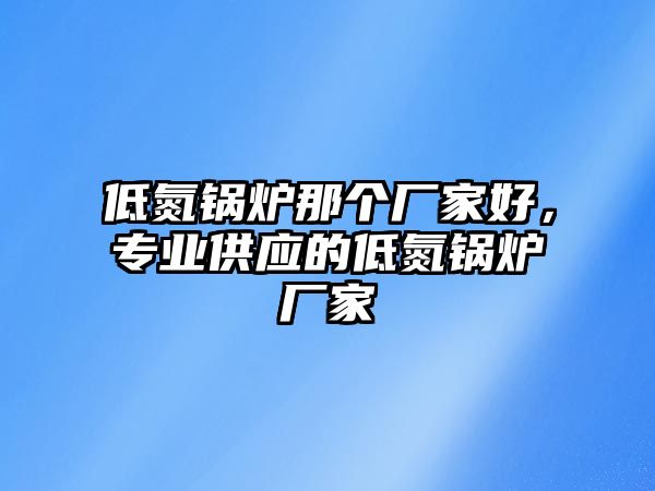 低氮鍋爐那個廠家好，專業(yè)供應(yīng)的低氮鍋爐廠家