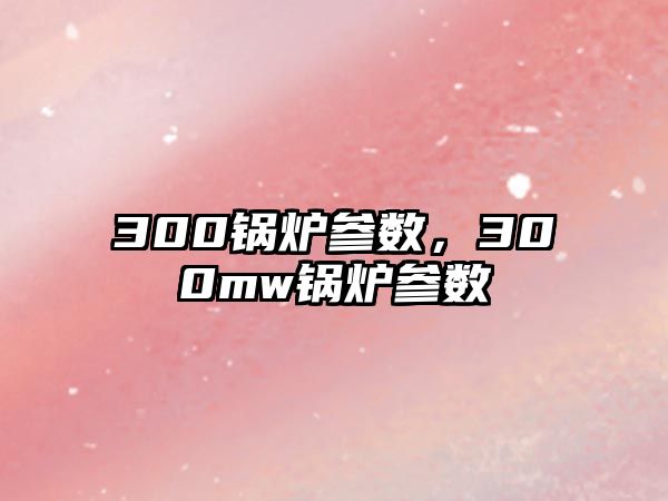 300鍋爐參數(shù)，300mw鍋爐參數(shù)