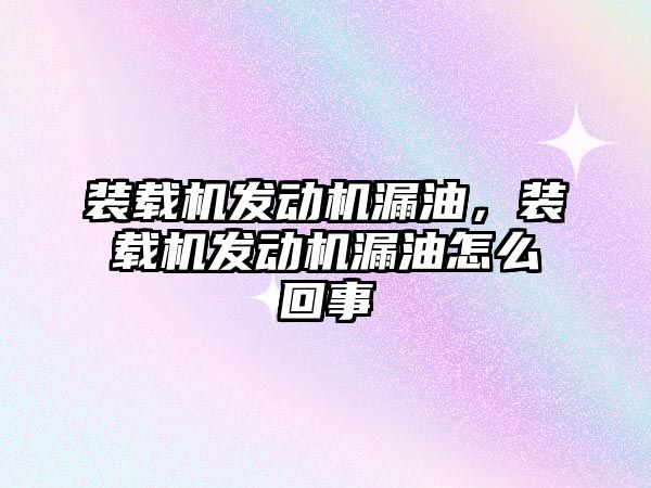 裝載機發(fā)動機漏油，裝載機發(fā)動機漏油怎么回事