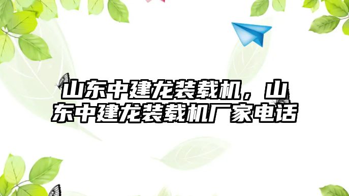 山東中建龍裝載機，山東中建龍裝載機廠家電話