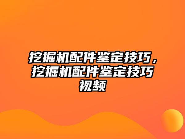 挖掘機配件鑒定技巧，挖掘機配件鑒定技巧視頻