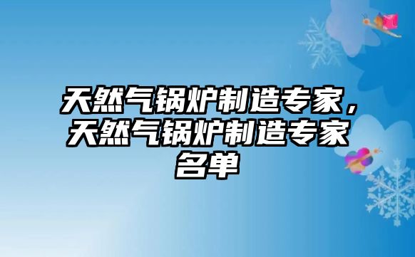 天然氣鍋爐制造專家，天然氣鍋爐制造專家名單