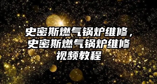 史密斯燃?xì)忮仩t維修，史密斯燃?xì)忮仩t維修視頻教程