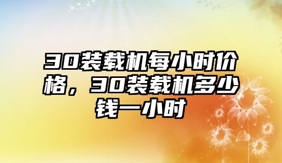 30裝載機每小時價格，30裝載機多少錢一小時