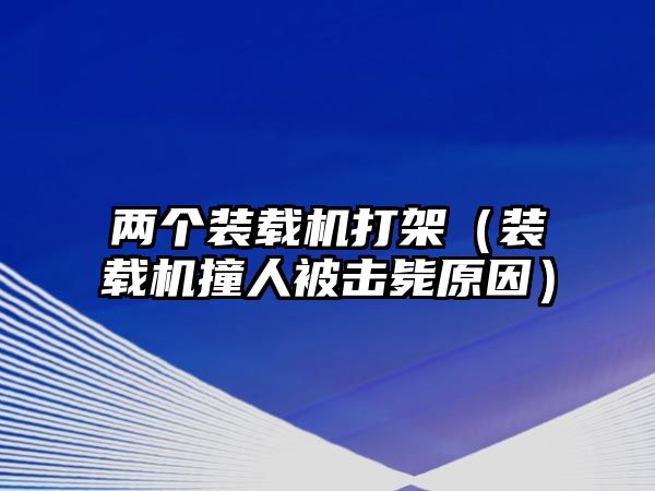 兩個(gè)裝載機(jī)打架（裝載機(jī)撞人被擊斃原因）