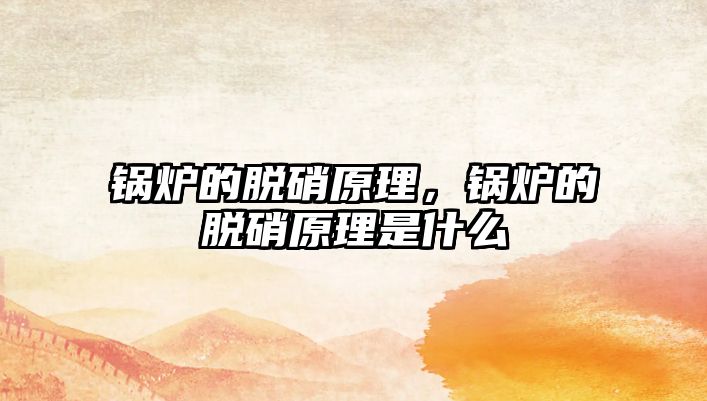 鍋爐的脫硝原理，鍋爐的脫硝原理是什么