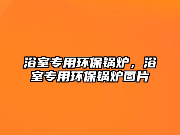 浴室專用環(huán)保鍋爐，浴室專用環(huán)保鍋爐圖片