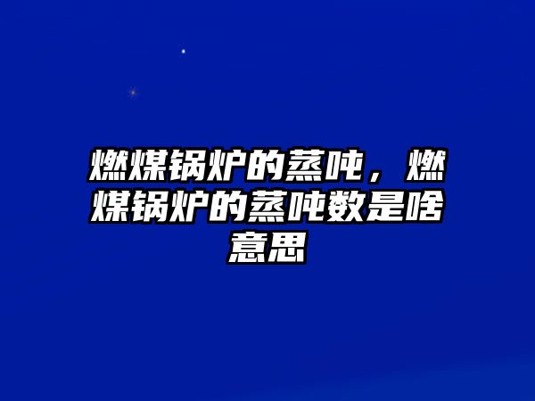 燃煤鍋爐的蒸噸，燃煤鍋爐的蒸噸數(shù)是啥意思