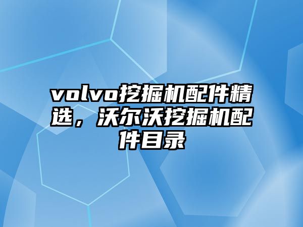 volvo挖掘機配件精選，沃爾沃挖掘機配件目錄