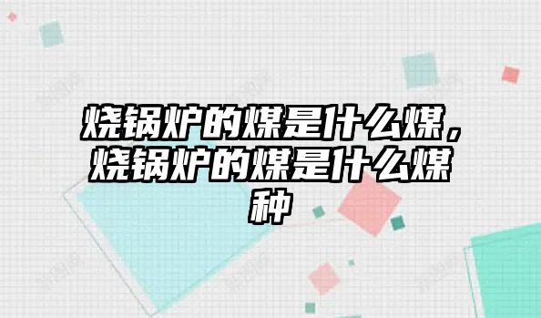 燒鍋爐的煤是什么煤，燒鍋爐的煤是什么煤種