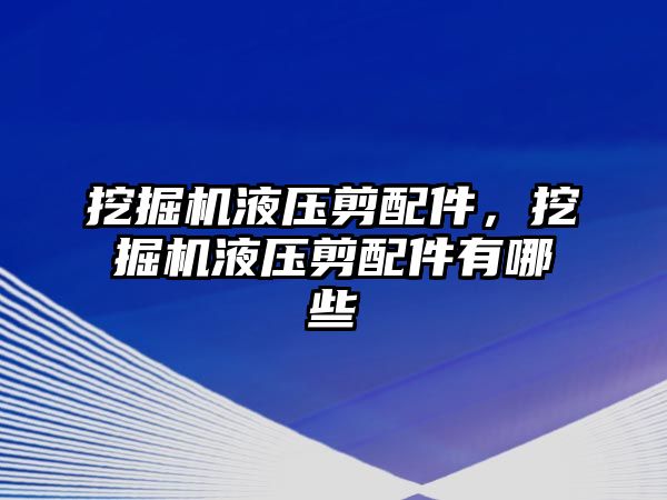 挖掘機液壓剪配件，挖掘機液壓剪配件有哪些