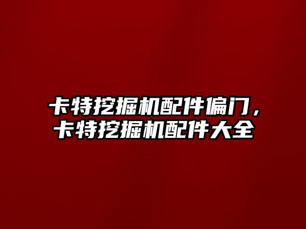 卡特挖掘機配件偏門，卡特挖掘機配件大全