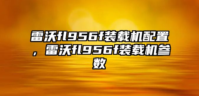 雷沃fl956f裝載機配置，雷沃fl956f裝載機參數(shù)