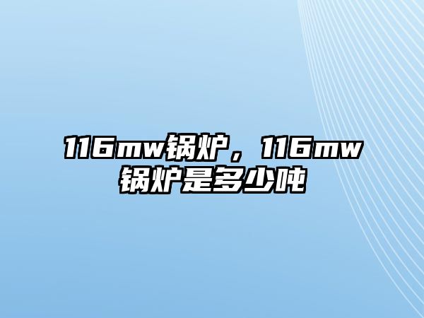 116mw鍋爐，116mw鍋爐是多少噸