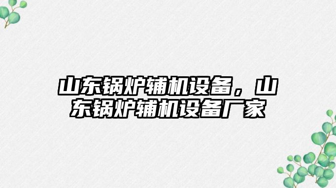 山東鍋爐輔機(jī)設(shè)備，山東鍋爐輔機(jī)設(shè)備廠家