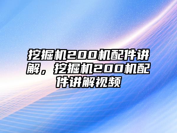 挖掘機(jī)200機(jī)配件講解，挖掘機(jī)200機(jī)配件講解視頻