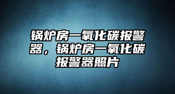 鍋爐房一氧化碳報警器，鍋爐房一氧化碳報警器照片