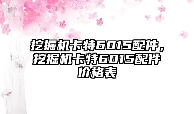 挖掘機(jī)卡特6015配件，挖掘機(jī)卡特6015配件價(jià)格表