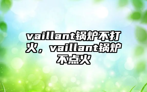 vaillant鍋爐不打火，vaillant鍋爐不點火