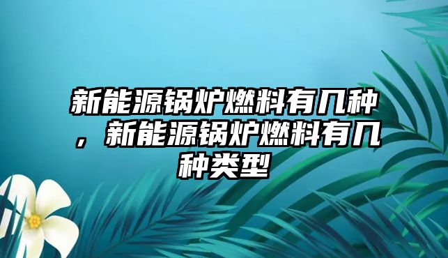 新能源鍋爐燃料有幾種，新能源鍋爐燃料有幾種類型