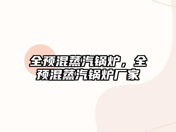 全預混蒸汽鍋爐，全預混蒸汽鍋爐廠家