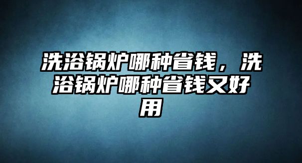 洗浴鍋爐哪種省錢，洗浴鍋爐哪種省錢又好用