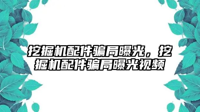 挖掘機配件騙局曝光，挖掘機配件騙局曝光視頻