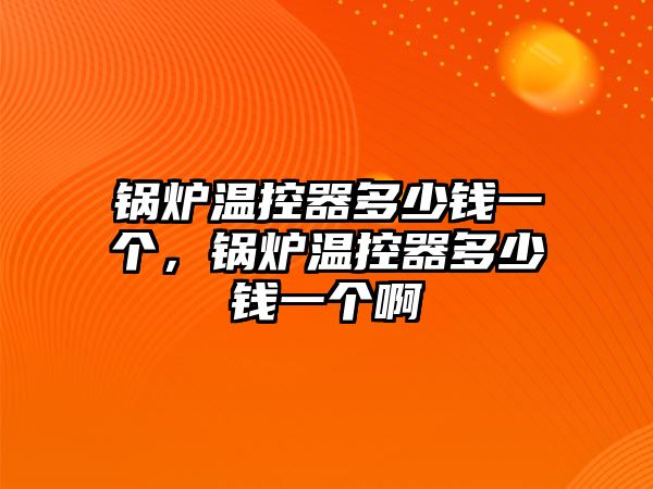 鍋爐溫控器多少錢一個，鍋爐溫控器多少錢一個啊