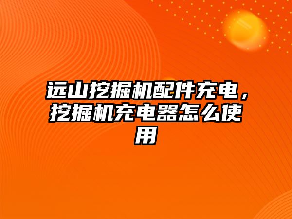 遠山挖掘機配件充電，挖掘機充電器怎么使用