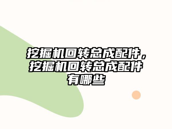 挖掘機回轉(zhuǎn)總成配件，挖掘機回轉(zhuǎn)總成配件有哪些