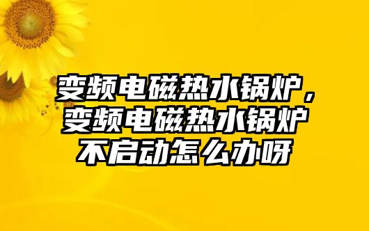 變頻電磁熱水鍋爐，變頻電磁熱水鍋爐不啟動(dòng)怎么辦呀