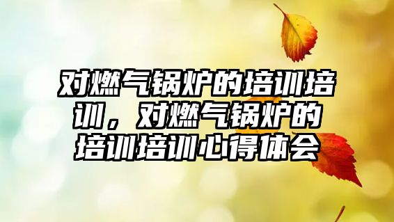 對(duì)燃?xì)忮仩t的培訓(xùn)培訓(xùn)，對(duì)燃?xì)忮仩t的培訓(xùn)培訓(xùn)心得體會(huì)