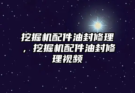 挖掘機配件油封修理，挖掘機配件油封修理視頻