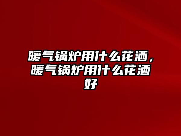 暖氣鍋爐用什么花灑，暖氣鍋爐用什么花灑好