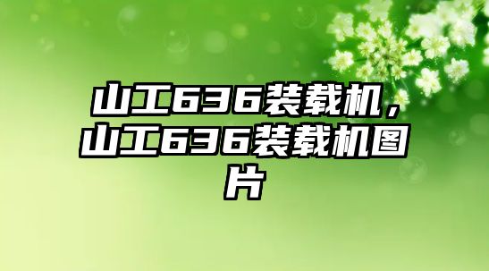 山工636裝載機，山工636裝載機圖片