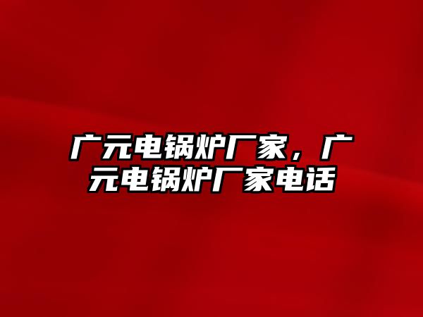 廣元電鍋爐廠家，廣元電鍋爐廠家電話