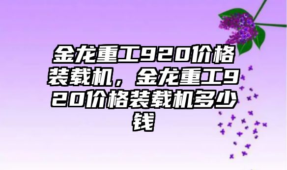 金龍重工920價格裝載機，金龍重工920價格裝載機多少錢