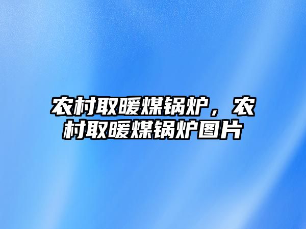 農(nóng)村取暖煤鍋爐，農(nóng)村取暖煤鍋爐圖片