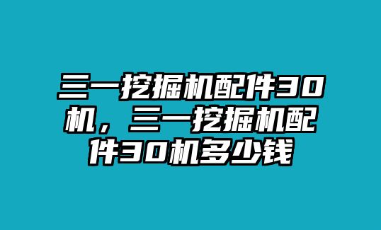 三一挖掘機(jī)配件30機(jī)，三一挖掘機(jī)配件30機(jī)多少錢