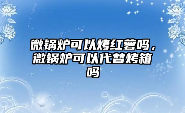 微鍋爐可以烤紅薯嗎，微鍋爐可以代替烤箱嗎