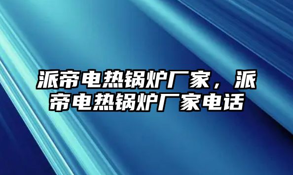 派帝電熱鍋爐廠家，派帝電熱鍋爐廠家電話