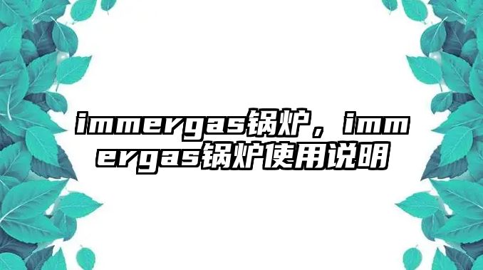 immergas鍋爐，immergas鍋爐使用說明