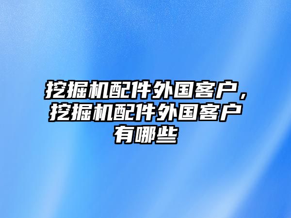 挖掘機配件外國客戶，挖掘機配件外國客戶有哪些