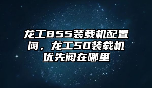 龍工855裝載機配置閥，龍工50裝載機優(yōu)先閥在哪里