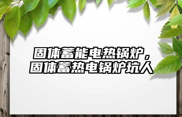 固體蓄能電熱鍋爐，固體蓄熱電鍋爐坑人