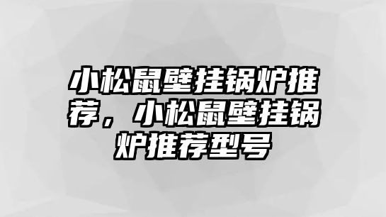 小松鼠壁掛鍋爐推薦，小松鼠壁掛鍋爐推薦型號(hào)