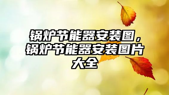 鍋爐節(jié)能器安裝圖，鍋爐節(jié)能器安裝圖片大全