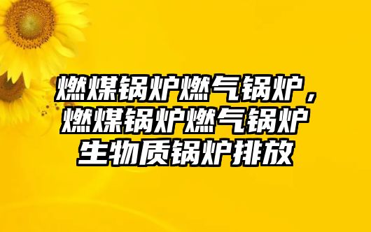 燃煤鍋爐燃?xì)忮仩t，燃煤鍋爐燃?xì)忮仩t生物質(zhì)鍋爐排放