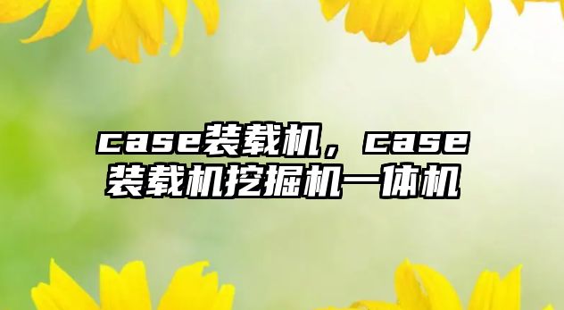 case裝載機，case裝載機挖掘機一體機